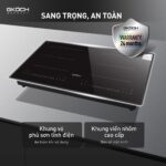 Bếp từ âm Grid PNG 12 (Custom)